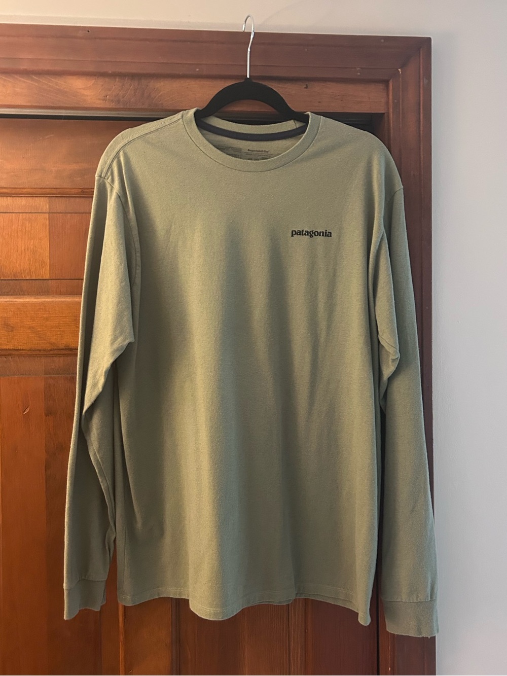 Patagonia Men's Long-Sleeved Home Water Trout Responsibili-Tee
